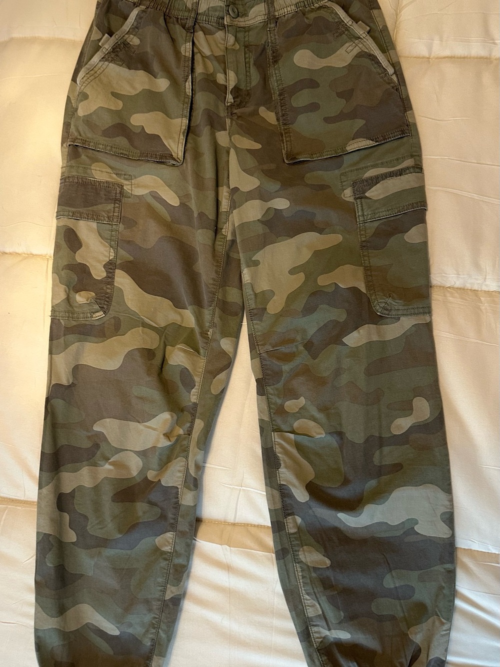 American Eagle Baggy Jogger Cargo Pants Size 4 Green Brown Stretch